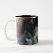 Tasse 2 Couleurs Chatons dans un panier (Gauche)