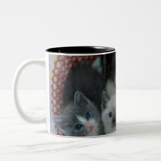 Tasse 2 Couleurs Chatons dans un panier (Gauche)