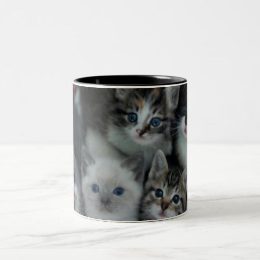 Tasse 2 Couleurs Chatons dans un panier (Centre)