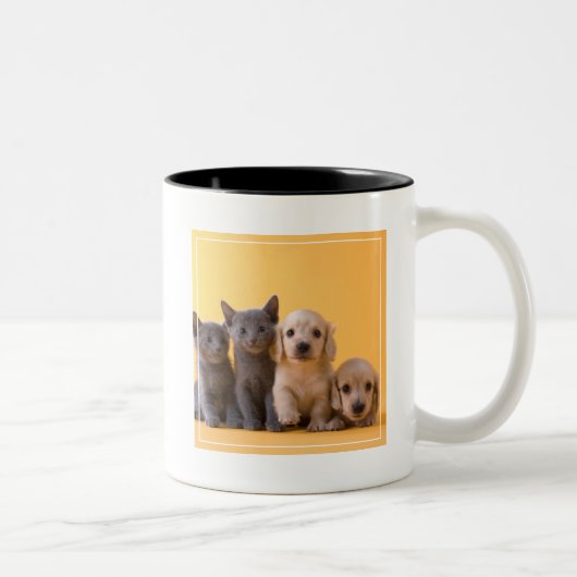 Tasse 2 Couleurs Chatons et chiots bleus russes de teckel (Droit)