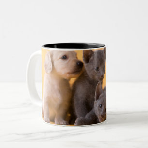 Tasse 2 Couleurs Chatons et chiots bleus russes de teckel