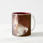 Tasse 2 Couleurs Chats (Devant droit)