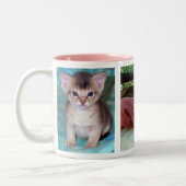 Tasse 2 Couleurs Chats abyssiniques (Gauche)