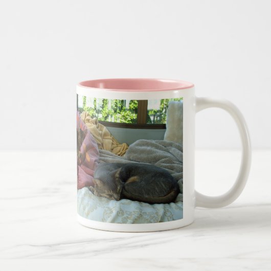 Tasse 2 Couleurs Chats abyssiniques (Droit)