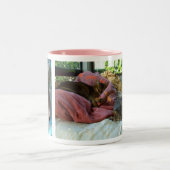 Tasse 2 Couleurs Chats abyssiniques (Centre)