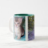 Tasse 2 Couleurs Chats abyssiniques (Devant gauche)