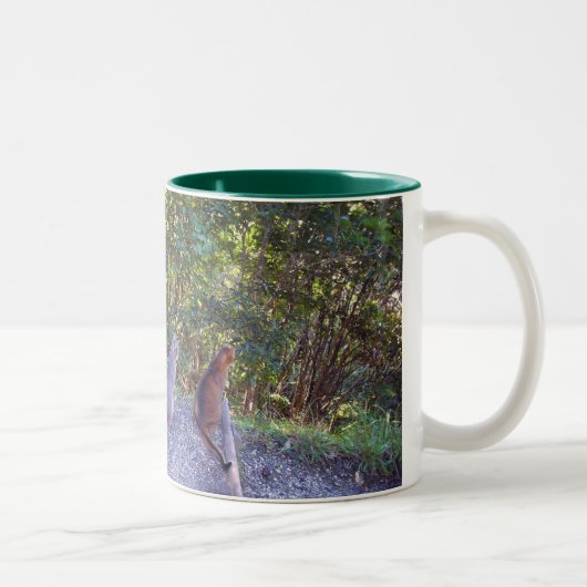 Tasse 2 Couleurs Chats abyssiniques (Droit)