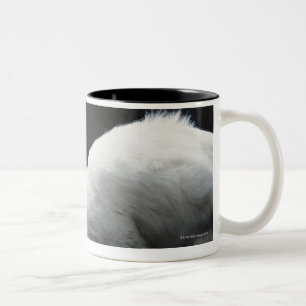 Tasse 2 Couleurs Chats avec le bol de nourriture