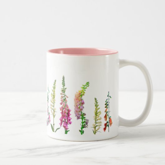 Tasse 2 Couleurs Chats dans la digitale (Droit)