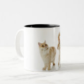 Tasse 2 Couleurs Chats de Munchkin (Devant gauche)