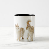 Tasse 2 Couleurs Chats de Munchkin (Centre)