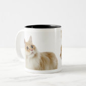 Tasse 2 Couleurs Chats de Munchkin (Devant gauche)