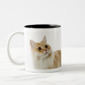 Tasse 2 Couleurs Chats de Munchkin (Gauche)