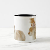 Tasse 2 Couleurs Chats de Munchkin (Centre)