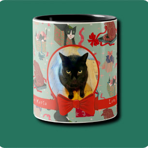 Tasse 2 Couleurs Chats Drôle Dans Les Boîtes De Noël Photo Personna