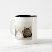 Tasse 2 Couleurs Chats du Maine (Devant gauche)