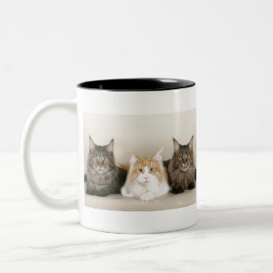 Tasse 2 Couleurs Chats du Maine
