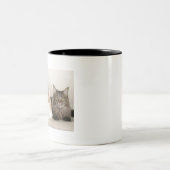 Tasse 2 Couleurs Chats du Maine (Centre)