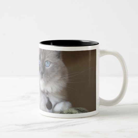 Tasse 2 Couleurs Chatte Ragdoll (Droit)