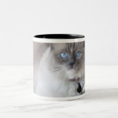 Tasse 2 Couleurs Chatte Ragdoll (Centre)