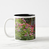 Tasse 2 Couleurs Chaumière, Adare, comté de Limerick, (Gauche)