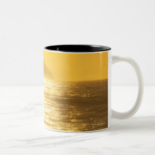 Tasse 2 Couleurs Chemin de Sun [réflexions] du bas soleil de soir