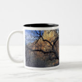 Tasse 2 Couleurs Chênes en hiver, Cour des Patriarches (Gauche)