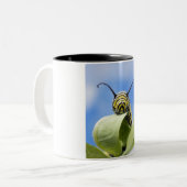 Tasse 2 Couleurs Chenille noire et jaune (Devant gauche)