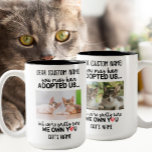 Tasse 2 Couleurs Cher Cher Chat Drôle Dit | Photo et nom du chat pe<br><div class="desc">C'est une citation parfaite hilarante et relatable ! La tasse customisée avec une photo de votre chat qui dit "Vous m'avez peut-être adoptée, mais je suis sûr que je vous possède" est une excellente façon de se moquer de la perception commune que les chats dominent la perle. La tasse ferait...</div>