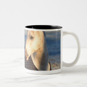 Tasse 2 Couleurs cheval