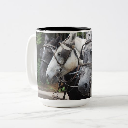 Tasse 2 Couleurs Cheval 842 (Devant gauche)