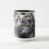 Tasse 2 Couleurs Cheval 842 (Centre)