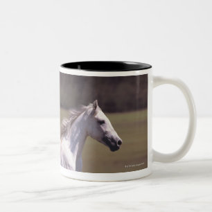 Tasse 2 Couleurs Cheval blanc fonctionnant dans le domaine