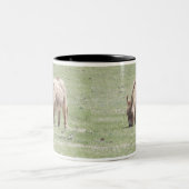 Tasse 2 Couleurs Cheval miniature (Centre)