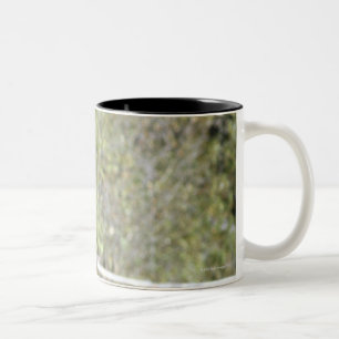 Tasse 2 Couleurs Chevaux dans le pâturage