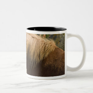 Tasse 2 Couleurs Chevaux islandais dans le nord-est de l'Islande.