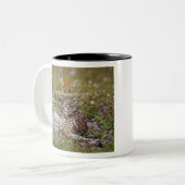 Tasse 2 Couleurs Chevêche de Burrowing (Devant gauche)