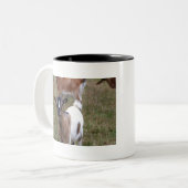 Tasse 2 Couleurs Chèvre dans un champ (Devant gauche)