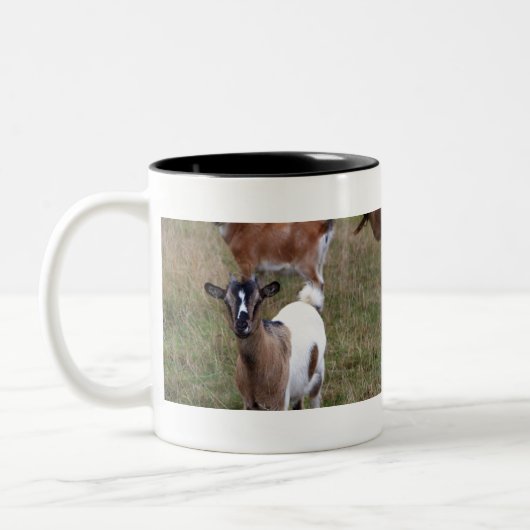 Tasse 2 Couleurs Chèvre dans un champ (Gauche)