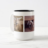 Tasse 2 Couleurs Chèvres (Devant gauche)