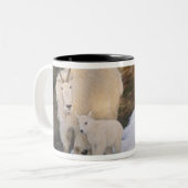 Tasse 2 Couleurs chèvres de montagne (Devant gauche)