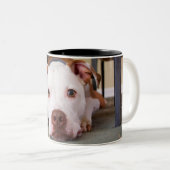 Tasse 2 Couleurs Chien (Devant droit)