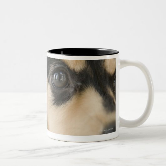 Tasse 2 Couleurs Chien (Droit)