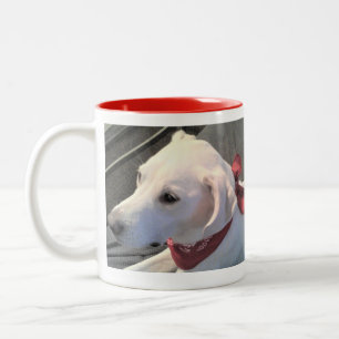 Tasse 2 Couleurs Chien blanc Labrador Retriever Mix portant l'Échar