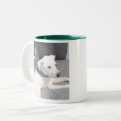 Tasse 2 Couleurs Chien blanc mignon vert initial unique (Devant gauche)