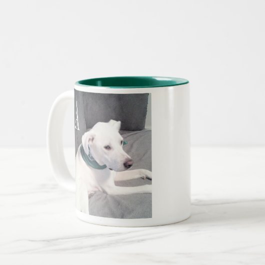 Tasse 2 Couleurs Chien blanc mignon vert initial unique (Devant gauche)