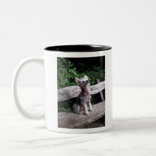 Tasse 2 Couleurs Chien crêté chinois