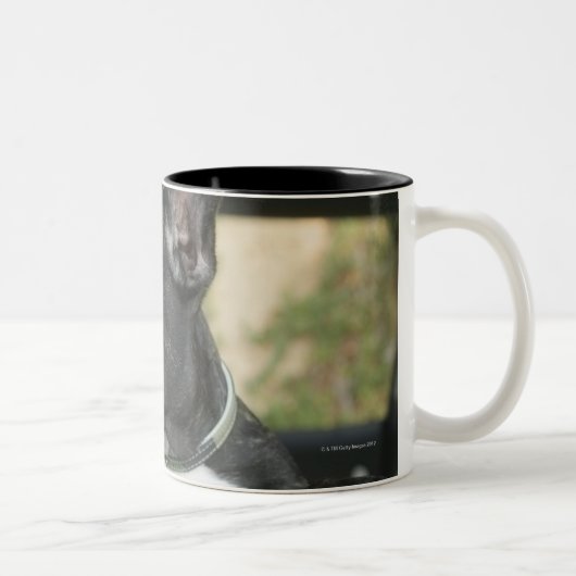 Tasse 2 Couleurs Chien dans la voiture (Droit)