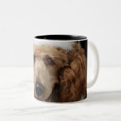 Tasse 2 Couleurs Chien de caniche d'or utilisant un costume blanc (Devant droit)