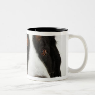 Tasse 2 Couleurs Chien de montagne de Bernese (Berner Sennenhund)